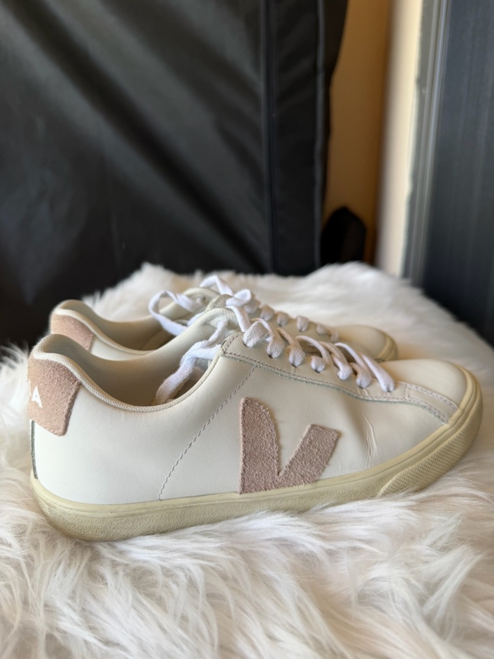 Veja Shoes